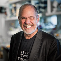 Doug Green, PhD